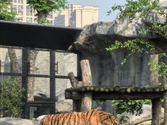 -武汉动物园