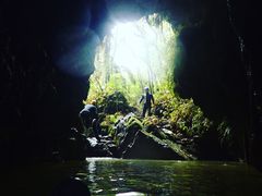 -怀托摩萤火虫洞