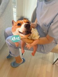 -明宇集团·积木枝芽母婴健康管理中心(天府店)