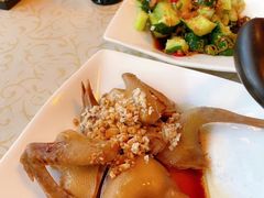 -百利鸽王(紫薇路店)