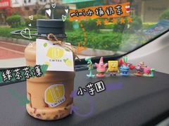 迷你水桶奶茶-LIMITED EXPRESS 限定快线