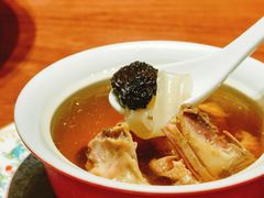 藏区羊肚菌花胶炖走地鸡汤-觅唐MITONG(鸟巢店)
