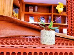 -二酉书店TOYOU BOOKS