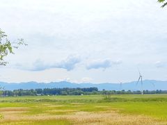 -野鸭湖国家湿地公园