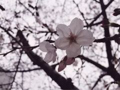 -同济大学(嘉定校区)