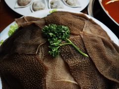 -重庆小天鹅(英雄山路店)