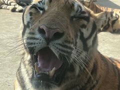 -南京金牛湖风景区