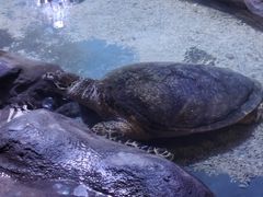 -南昌海洋公园