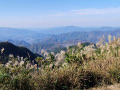 -四明山国家森林公园