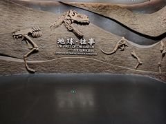 -柳州白莲洞洞穴科学博物馆