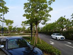 -迪士尼乐园停车场