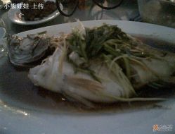 清蒸鲑鱼 蒸过头-金门大酒店·宴会厅