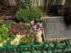 -长江路历史文化街区
