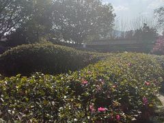 -蒋氏故居