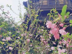 -慧因高丽寺