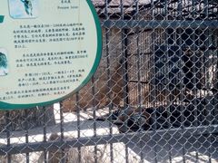 -哈尔滨北方森林动物园