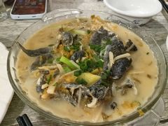 -品雅轩农家乐
