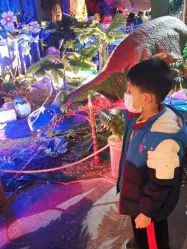 -恐龙探索乐园(磁器口店)