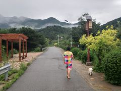 -梨木台悦来客农家院