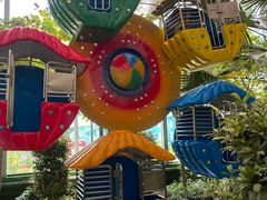 -南宫五洲植物乐园