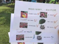 -贝思特·蒙特梭利早教