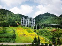 -玉舍国家森林公园