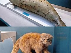 -国家自然博物馆