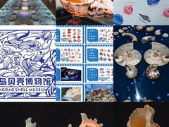 -青岛贝壳博物馆