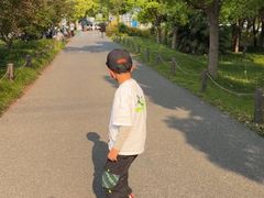 -嘉北郊野公园