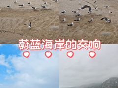 -崂山仰口游览区