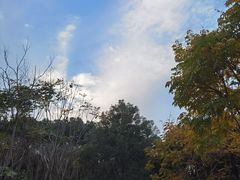 -九科绿洲