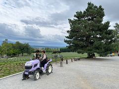 -富田农场