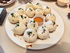 鲜肉生煎包-圆苑(兴国路店)