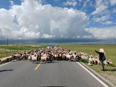 -青海湖国家重点风景名胜区