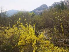 -北京凤凰岭