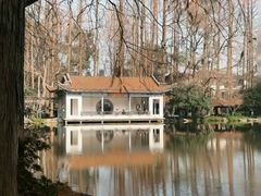 -山外山菜馆(玉泉路店)