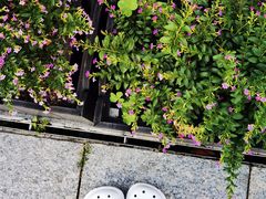 -苏州现代传媒广场商业