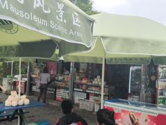 -紫金山山顶公园