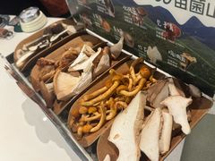 当季野生菌四拼-芸山季·云南山珍菌火锅(南翔印象城MEGA店)