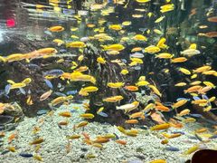 -太平洋海底世界