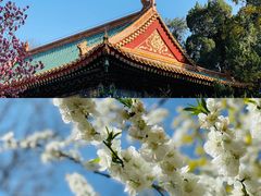 -国家植物园