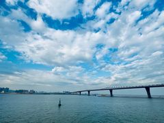 -澳门环岛游湾仔码头