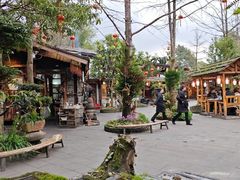 -青城甲(青城山店)