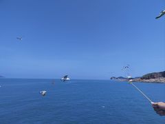 -海驴岛(荣成市)