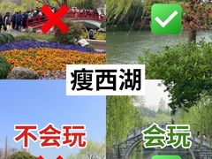 -陈记菜馆·非遗淮扬菜(东关街教场店)