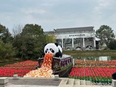 -苏州太湖国家湿地公园