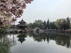 -莲池书院博物馆