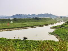 -江门古劳水乡旅游区
