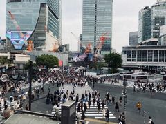 -涩谷全向十字路口