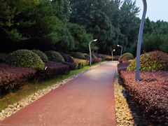 -滨湖塘西河公园